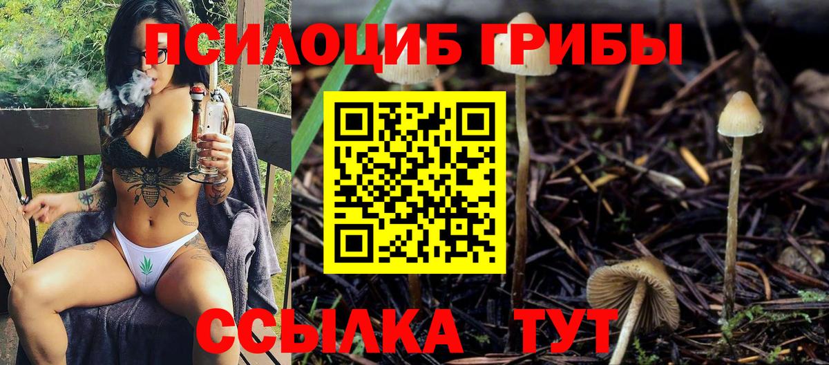 Псилоцибиновые грибы Magic Shrooms Качканар