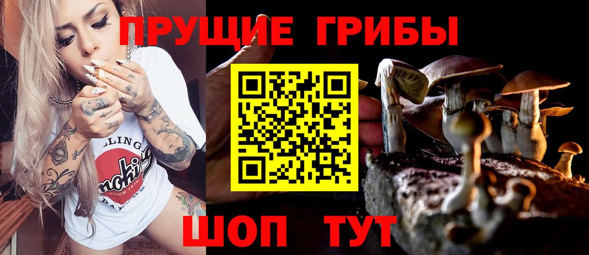 Качканар  Галлюциногенные грибы мухоморы  Псилоцибиновые грибы MAGIC MUSHROOMS  Вход с VPN 